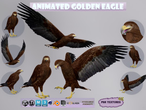 Realistic Animated Golden Eagle Modello 3D
