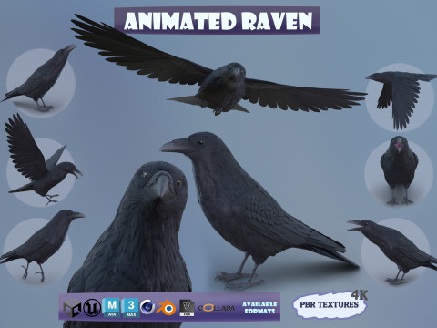 Realistic Animated Raven Modello 3D