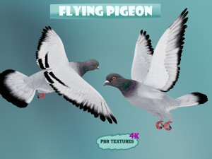 Realistic flying Pigeon - LOOP FLIGHT animations Low-poly Modello 3D