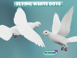 Realistic flying White Dove- LOOP FLIGHT animations Low-poly Modello 3D