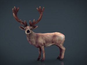 red deer Modello 3D