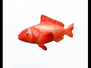 red grouper fish low poly Modello 3D