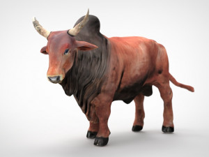 sacred cow Modello 3D
