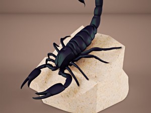 scorpion Modello 3D
