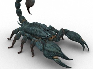 scorpion rigged Modello 3D