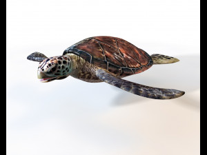 sea turtle rigged low poly Modello 3D