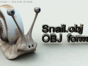 snail Modello 3D