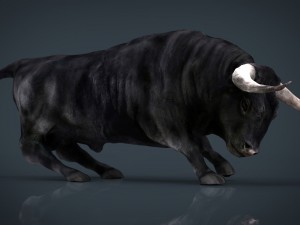 spanish bull Modello 3D