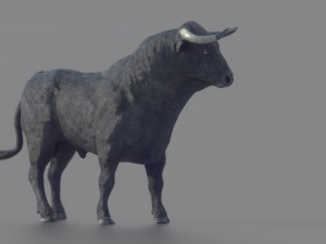 spanish fighting bull Modello 3D