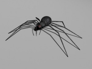 spider Modello 3D