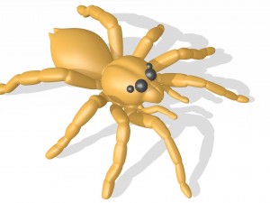 spider Modello 3D