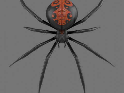 Spider Black Widow Modello 3D