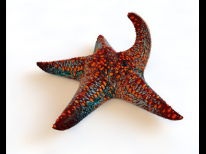 star fish v4 rigged low poly Modello 3D