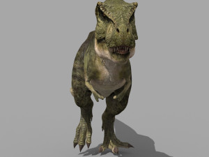 T Rex Premium 8K - fully animated Modello 3D