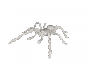Tarantulas Modello 3D