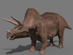 Triceratops Tribute - 8K Modello 3D
