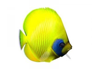 Tropical fish chaetodon Modello 3D