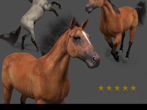 ultimate horse collection Modello 3D