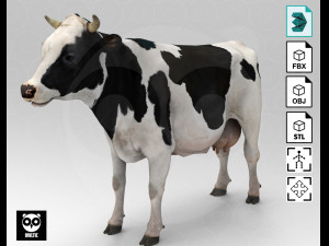 White Cow - Rigged - Animated Modello 3D
