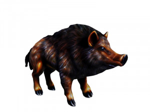 Wild boar Modello 3D