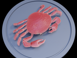 3d crab Modello 3D