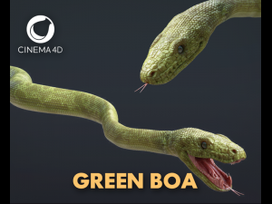 3d green boa model Modello 3D