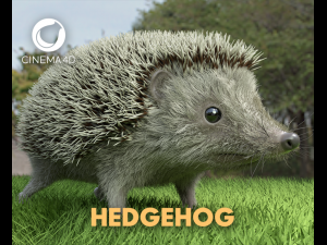 3d hedgehog model Modello 3D
