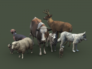 Animal Pack Vol 1 Modello 3D