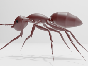 Ant Modello 3D