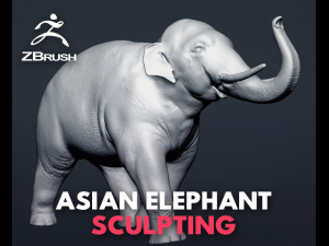 asian elephant - figurine Modello 3D