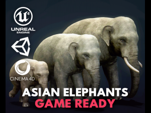 asian elephants - game ready Modello 3D