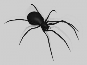 black widow spider rigged Modello 3D
