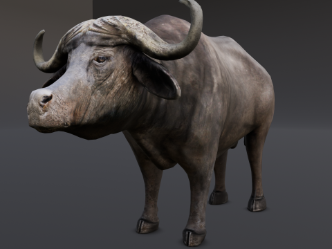 Buffalo Modello 3D