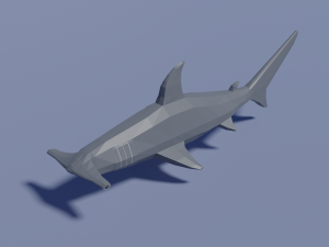cartoon hammerhead shark Modello 3D