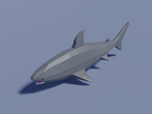 cartoon shark Modello 3D