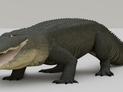 Cocodrile Modello 3D