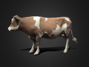Cow Modello 3D