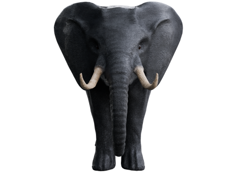 Elephant 3d Modello 3D