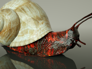 firesnail cinema 4d only octane render Modello 3D