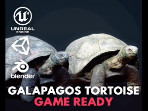 galapagos tortoise - game ready Modello 3D