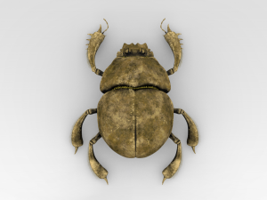 Golden Scarab Modello 3D