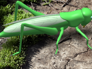 Grasshopper Modello 3D