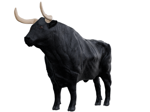 Bull 3d Modello 3D