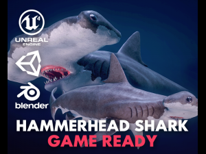 hammerhead shark Modello 3D