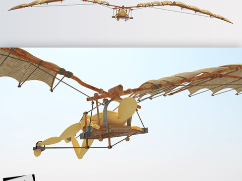 Leonardo da vinci flight Modello 3D