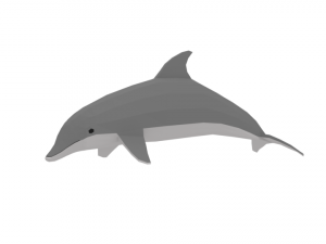 low poly cartoon dolphin Modello 3D