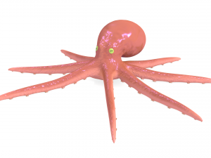 octopus rigged Modello 3D