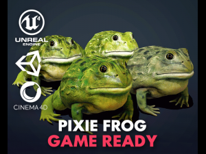 pixie frog - game ready Modello 3D