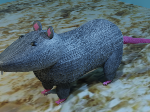 Rat Modello 3D