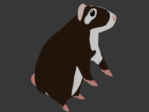 Rat Modello 3D